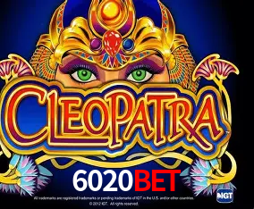 6020bet Curitiba - Live Status