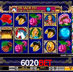 6020bet Rio de Janeiro - Bonus Terms